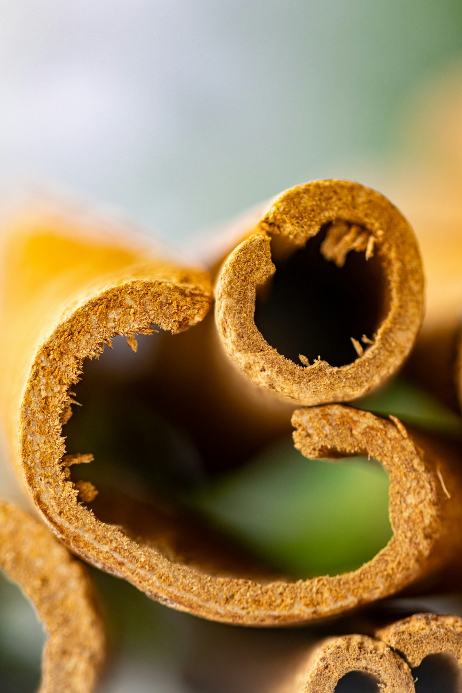 Close-up of a bunch of cinnamon sticks